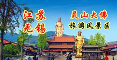 黄片操逼视频3d区江苏无锡灵山大佛旅游风景区